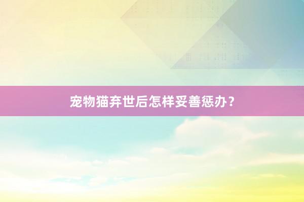 宠物猫弃世后怎样妥善惩办？